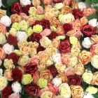 3 üzleti kép DEKORKERT MŰNÖVÉNY - MŰVIRÁG - DEKORÁCIÓ Virágüzlet, virágkötészet ban/ben Abda GS