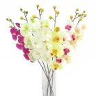 9 üzleti kép DEKORKERT MŰNÖVÉNY - MŰVIRÁG - DEKORÁCIÓ Virágüzlet, virágkötészet ban/ben Abda GS