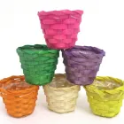 13 üzleti kép DEKORKERT MŰNÖVÉNY - MŰVIRÁG - DEKORÁCIÓ Virágüzlet, virágkötészet ban/ben Abda GS