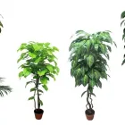 22 üzleti kép DEKORKERT MŰNÖVÉNY - MŰVIRÁG - DEKORÁCIÓ Virágüzlet, virágkötészet ban/ben Abda GS