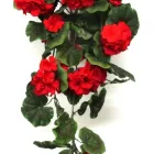 24 üzleti kép DEKORKERT MŰNÖVÉNY - MŰVIRÁG - DEKORÁCIÓ Virágüzlet, virágkötészet ban/ben Abda GS