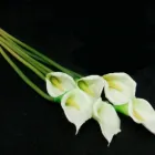 25 üzleti kép DEKORKERT MŰNÖVÉNY - MŰVIRÁG - DEKORÁCIÓ Virágüzlet, virágkötészet ban/ben Abda GS