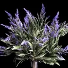 34 üzleti kép DEKORKERT MŰNÖVÉNY - MŰVIRÁG - DEKORÁCIÓ Virágüzlet, virágkötészet ban/ben Abda GS