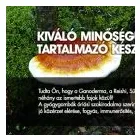 3 üzleti kép DENROM S.R.O Üzleti szolgáltatások ban/ben Komárom KE