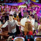 9 üzleti kép DISCOFEVER Zeneszolgáltatás ban/ben Gödöllő PE