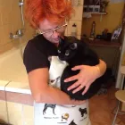 1 üzleti kép DOGTOGON KUTYA-CICA KOZMETIKA Kutyakozmetika ban/ben Budapest PE