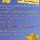 17 üzleti kép DP COPY Üzleti szolgáltatások ban/ben Komárom KE