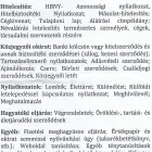 2 üzleti kép DR. BEKE KAMILLA JUDIT KÖZJEGYZŐ ESZTERGOM Közjegyzők ban/ben Esztergom KE