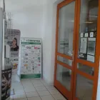 11 üzleti kép DR. LUMNICZER SÁNDOR GYÓGYSZERTÁR Gyógyszertárak ban/ben Kapuvár GS