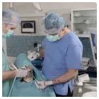 9 üzleti kép DR. TERBÓCZ KATALIN FOGORVOS Sebészet ban/ben Budapest