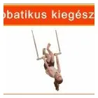 15 üzleti kép E-JÁTSZÓTÉR Vár, kastély ban/ben Dunaföldvár TO