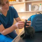 18 üzleti kép EB-REHAB ÁLLATORVOSI RENDELŐ Állatorvosok ban/ben Kaposvár SO