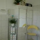 6 üzleti kép EBSZERVIZ KUTYAKOZMETIKA Egészség & Szépségápolás ban/ben Budapest