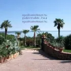 1 üzleti kép EGZOTIKUS KERT KFT Virágüzlet, virágkötészet ban/ben Balatonalmádi VE