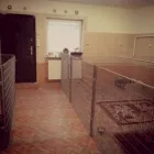 5 üzleti kép FENYVES KUTYAPANZIÓ ÉS KOZMETIKA Idegenforgalom & Utazás ban/ben Erdőkertes PE