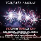 1 üzleti kép FERENCZY BORHÁZ BORÁRUHÁZ Számítástechnika & Elektronika ban/ben Szolnok JN
