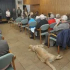 1 üzleti kép FLAMANN-FAZEKAS Kultúra & Művészet ban/ben Kistelek CS