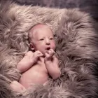 6 üzleti kép GEDAI BT. Szoftverfejlesztés, adatfeldolgozás ban/ben Kecskemét BK