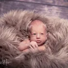 7 üzleti kép GEDAI BT. Szoftverfejlesztés, adatfeldolgozás ban/ben Kecskemét BK