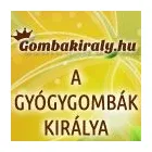 4 üzleti kép GOMBAKIRÁLY WEBÁRUHÁZ Üzleti szolgáltatások ban/ben Szeged CS