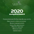 1 üzleti kép GROWING MARKETING Üzleti szolgáltatások ban/ben Kecskemét BK