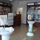 12 üzleti kép HANSÁG GYÓGYSZERTÁR Gyógyszertárak ban/ben Kapuvár GS