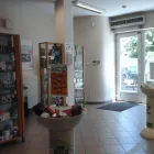 18 üzleti kép HANSÁG GYÓGYSZERTÁR Gyógyszertárak ban/ben Kapuvár GS