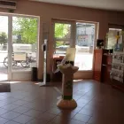 23 üzleti kép HANSÁG GYÓGYSZERTÁR Gyógyszertárak ban/ben Kapuvár GS