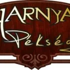 1 üzleti kép HARNYAS PÉKSÉG Üzletek ban/ben Abda GS