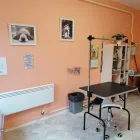 3 üzleti kép HEPYTA KUTYAKOZMETIKA Egészség & Szépségápolás ban/ben Komárom KE