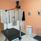 4 üzleti kép HEPYTA KUTYAKOZMETIKA Egészség & Szépségápolás ban/ben Komárom KE