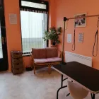 5 üzleti kép HEPYTA KUTYAKOZMETIKA Egészség & Szépségápolás ban/ben Komárom KE