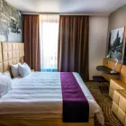 68 üzleti kép HOLIDAY INN BUDAPEST - BUDAÖRS Üzleti szolgáltatások ban/ben Budapest PE