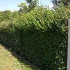 4 üzleti kép HORVÁTH JÁNOS Otthon és Építőipar ban/ben Marcali SO