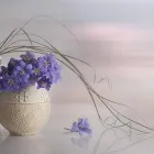 1 üzleti kép IBOLYA VIRÁG ÉS AJÁNDÉK Virágok, virágpiac, virágküldés ban/ben Martfű JN