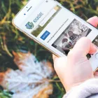 11 üzleti kép IMPULSEDESIGN DEBRECEN | WEBDESIGN, HONLAP KÉSZÍTÉS | ONLINE MARKETING Webhosting ban/ben Debrecen HB