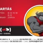 1 üzleti kép INCAR SERVICE Autóvillamosság ban/ben Sopron GS