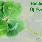 2 üzleti kép IRIS OPTIKA Üzletek ban/ben Komló BA