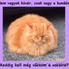 3 üzleti kép JÓZSAPET WEBÁRUHÁZ Üzletek ban/ben Debrecen HB