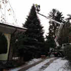 6 üzleti kép KAPUI SZILÁRD VILLANYSZERELÉS, ÉRINTÉSVÉDELEM, KOSARASEMELŐ GKI-K., VESZÉLYES FÁK KIVÁGÁSA Villanyszerelés ban/ben Kapuvár GS