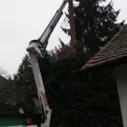 8 üzleti kép KAPUI SZILÁRD VILLANYSZERELÉS, ÉRINTÉSVÉDELEM, KOSARASEMELŐ GKI-K., VESZÉLYES FÁK KIVÁGÁSA Villanyszerelés ban/ben Kapuvár GS