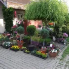 1 üzleti kép KARKUS FAISKOLA Üzletek ban/ben Fót PE