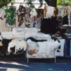 8 üzleti kép KECSKÉS SZŰCS Üzletek ban/ben Nagykőrös PE