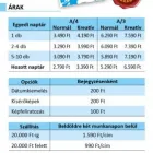 8 üzleti kép KÉK ELEFÁNT NYOMDA Üzleti szolgáltatások ban/ben Székesfehérvár FE