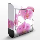 1 üzleti kép KÉP A FALRA WEBÁRUHÁZ Üzleti szolgáltatások ban/ben Mosonmagyaróvár GS