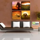 7 üzleti kép KÉPAFALRA LAKÁSDEKORÁCIÓ Üzleti szolgáltatások ban/ben Mosonmagyaróvár GS