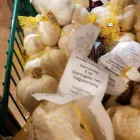 2 üzleti kép KISVAKOND MEZŐGAZDASÁGI BOLT Mezőgazdasági szakboltok ban/ben Székesfehérvár FE