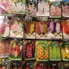 6 üzleti kép KISVAKOND MEZŐGAZDASÁGI BOLT Mezőgazdasági szakboltok ban/ben Székesfehérvár FE