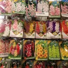 11 üzleti kép KISVAKOND MEZŐGAZDASÁGI BOLT Mezőgazdasági szakboltok ban/ben Székesfehérvár FE