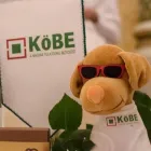 3 üzleti kép KÖBE KÖZÉP-EURÓPAI KÖLCSÖNÖS BIZTOSÍTÓ EGYESÜLET Biztosítás ban/ben Szolnok JN